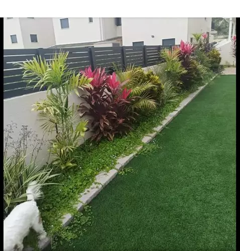 עיצוב גינה של בית פרטי 4